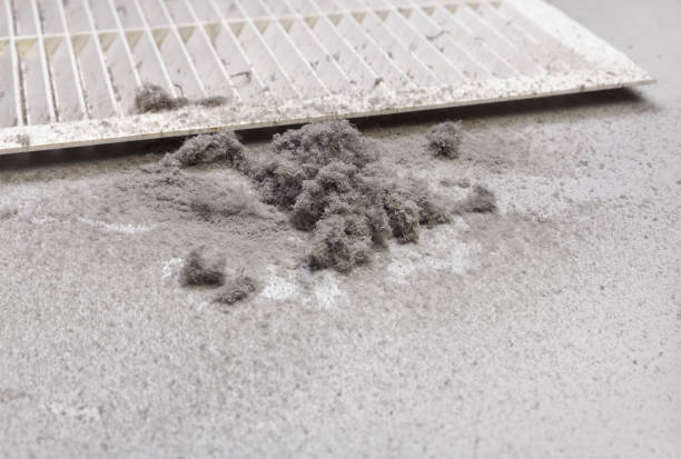 Best Affordable Duct Cleaning Services  in South Woodstock, CT